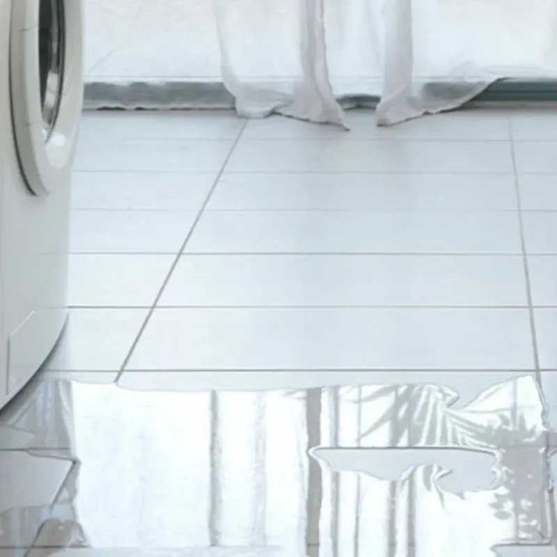 Appliance Leak Cleanup in Santa Clara, UT
